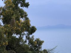 -Brew Farm·精酿农场海滨悬崖餐厅