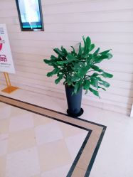 -安琪儿妇产医院·医养月子中心