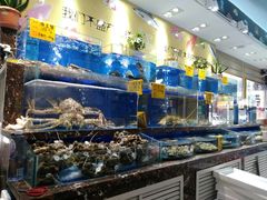 水产区-河马鲜生海鲜超市(风荷园店)