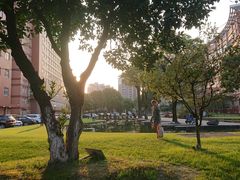 -同济大学附属上海市肺科医院·停车场