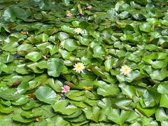 -盘龙城国家考古遗址公园