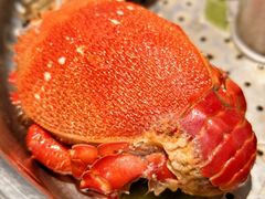 -亚马逊蒸汽活海鲜自助(LCM置汇旭辉广场店)