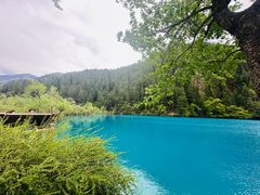 -九寨沟-树正沟