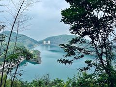 -长沙黑麋峰国家森林公园