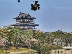 -海珠湖公园
