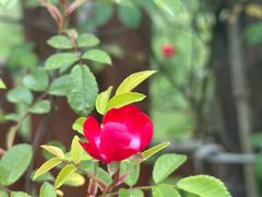 -国际非物质文化遗产博览园