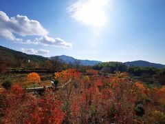 -塔川景区