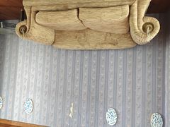 -金山农民画村-枫泾波兰倒置屋