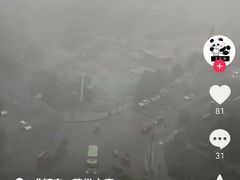 -约翰·菲茨杰拉德·肯尼迪国际机场