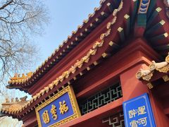 -桃花堤公园