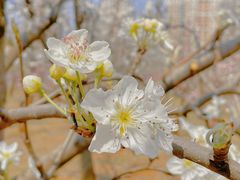 -云南艺术学院(呈贡校区)