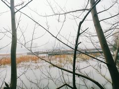 -月湖风景区
