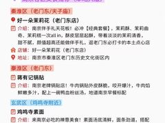 -好一朵茉莉花(老门东店)