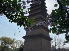 -正定古城-开元寺