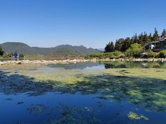 -比顿咖啡(和顺古镇店)