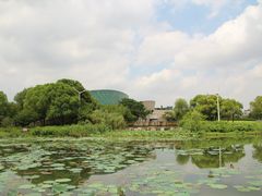 -新江湾城公园