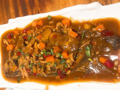 -臭桂鱼儿特色餐厅(朝晖七小区北区店)