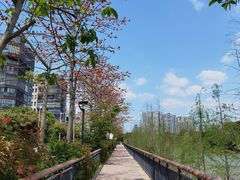 -金山公园