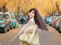 -三里屯东五街银杏大道