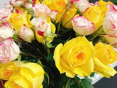 -幸福哟烧鸡·粤菜海鲜私厨(七星路店)