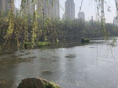 -前关湿地公园