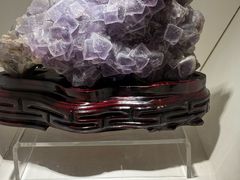 -安徽省地质博物馆