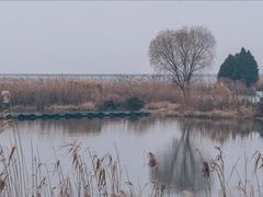 -贡湖湾湿地公园