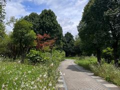-贵阳市花溪国家城市湿地公园