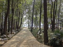 -东湖落雁景区