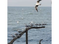 -捞渔河湿地公园