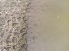 -中国农业银行(上海定西路支行)