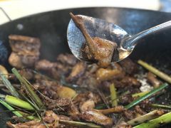 -一煲鸽