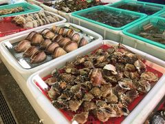 -海儀美食楼(湾仔海鲜街店)
