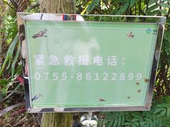 -华侨城湿地公园