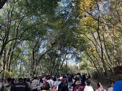 -灵岩山风景区