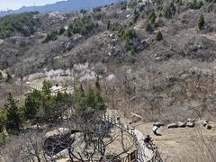 -白水寺森林公园