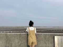 -南汇嘴观海公园