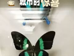 -上海昆虫博物馆