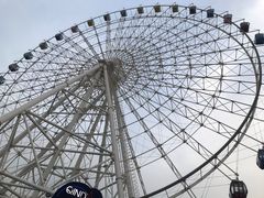 -琴岛之星摩天轮