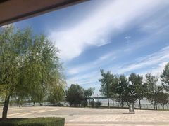 -武清南湖绿博园
