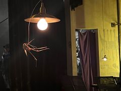 -毛辣果·酸(OHA复兴西路店)