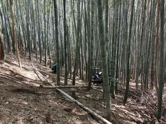 -巢湖姥山岛