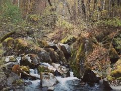 -叠溪松坪沟景区