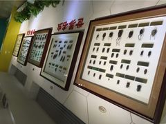 iphone_upload_pic-上海昆虫博物馆
