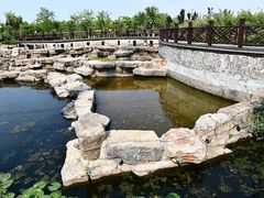 -深圳龙潭公园