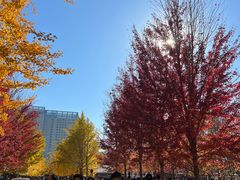 -辽宁大学(崇山校区)