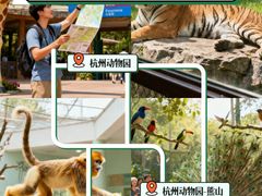 -深圳野生动物园