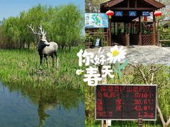 -溱湖国家湿地公园