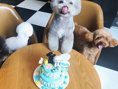 -Oh My Dog宠物沙龙(伊珊娜皮毛护理店)