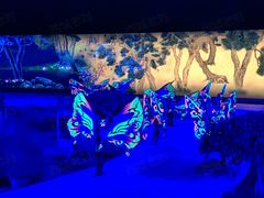 -鼎盛王朝康熙大典实景演出